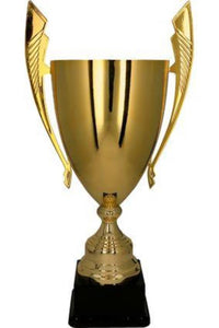 Tryumf Gold Metal Cup