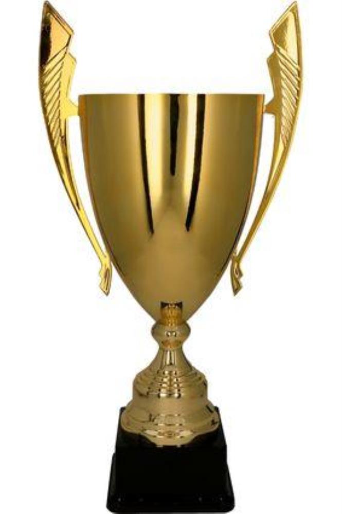 Tryumf Gold Metal Cup