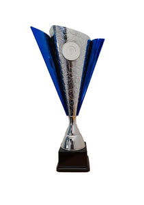 Silver And Blue Metal Cup