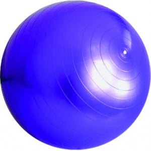 Gym Ball 55Cm