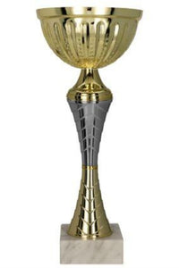 Tryumf Gold And Silver Metal Cup