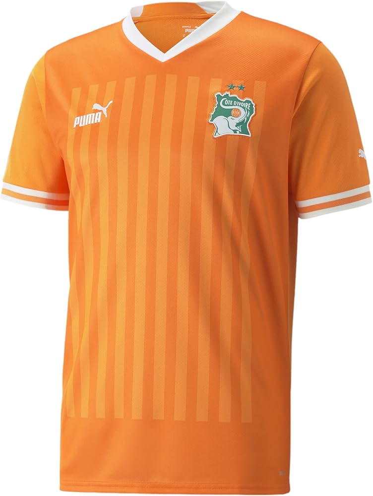 Puma FIF Home Jersey Replica