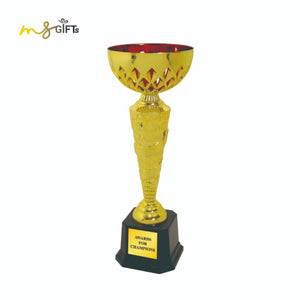 Tryumf Example Cup