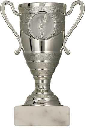 Tryumf Plastic Cup Bronze