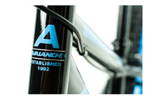 Load image into Gallery viewer, Avalanche - Antix 20&quot;
