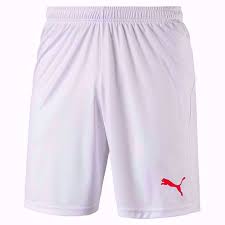 Puma - Soccer snr Shorts