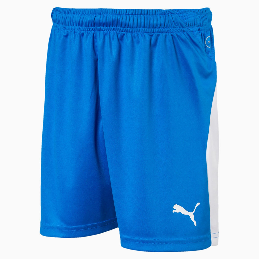 Puma Liga Snr Shorts
