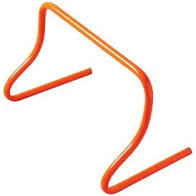 Agility Hurdle 9