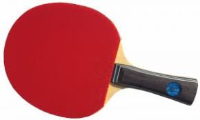Table Tennis Bat Two Star